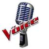 The voice le blog du show TV