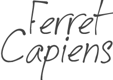 Ferretcapiens.fr Le Guide du Cap Ferret | Retrouvez toutes les adresses du Cap Ferret !