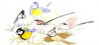 Blog Chants d'oiseaux